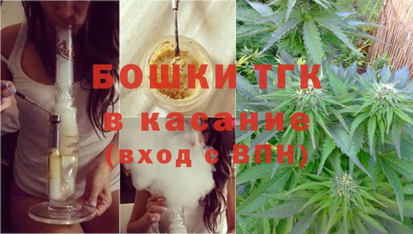 шишки Армянск