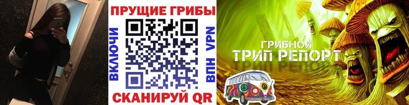 omg ссылка  наркотики  Тейково  Галлюциногенные грибы GOLDEN TEACHER 