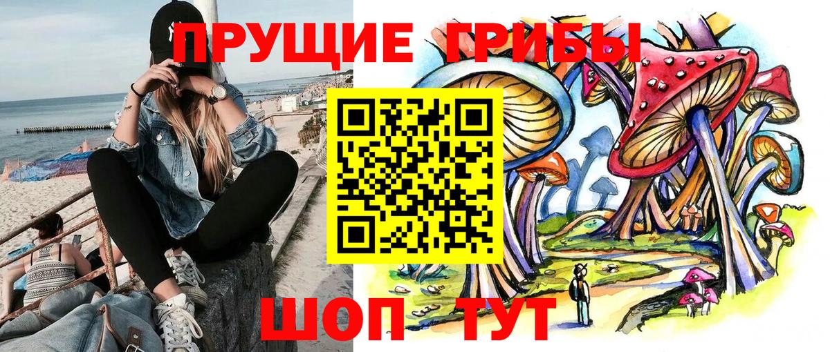 Галлюциногенные грибы Psilocybine cubensis Тейково
