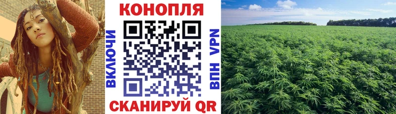 Канабис THC 21%  hydra как войти  Тейково  купить наркотик 